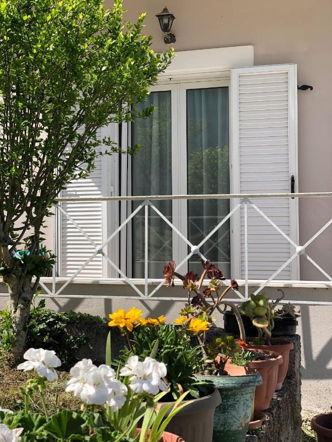 Casa Sofia Villa Dassia  Ngoại thất bức ảnh